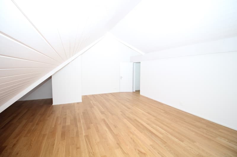 {"visible_features": [],    "type": "Room",    "description": "Empty room with hardwood floor, slanted ceiling, white walls, and doors.",    "localized_descriptions":        {        "EN": "Empty room with hardwood floor, slanted ceiling, white walls