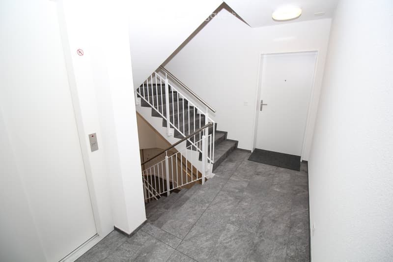 {"visible_features": ["Raised ground floor"],    "type": "Room",    "description": "staircase, white walls, gray floor, white door",    "localized_descriptions":        {        "EN": "Staircase, white walls, gray floor, white door",        "DE": "T