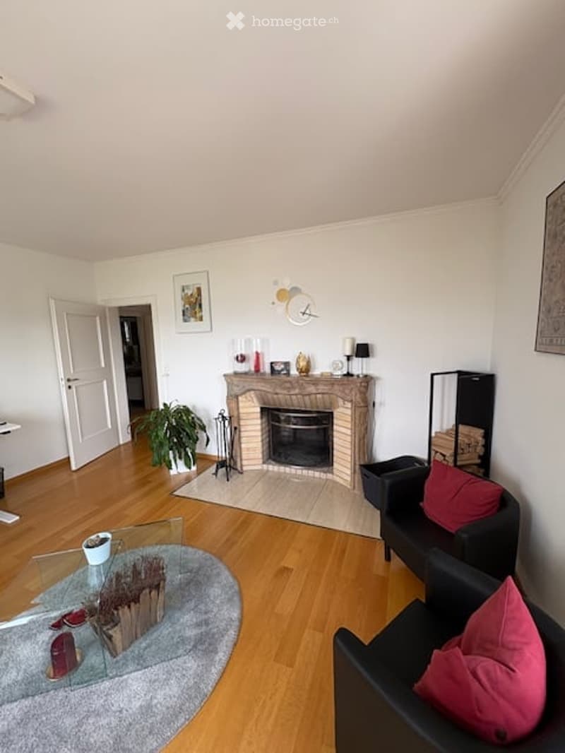 Living room with wooden flooring, fireplace, sofa, coffee table, plant, and decorative items.