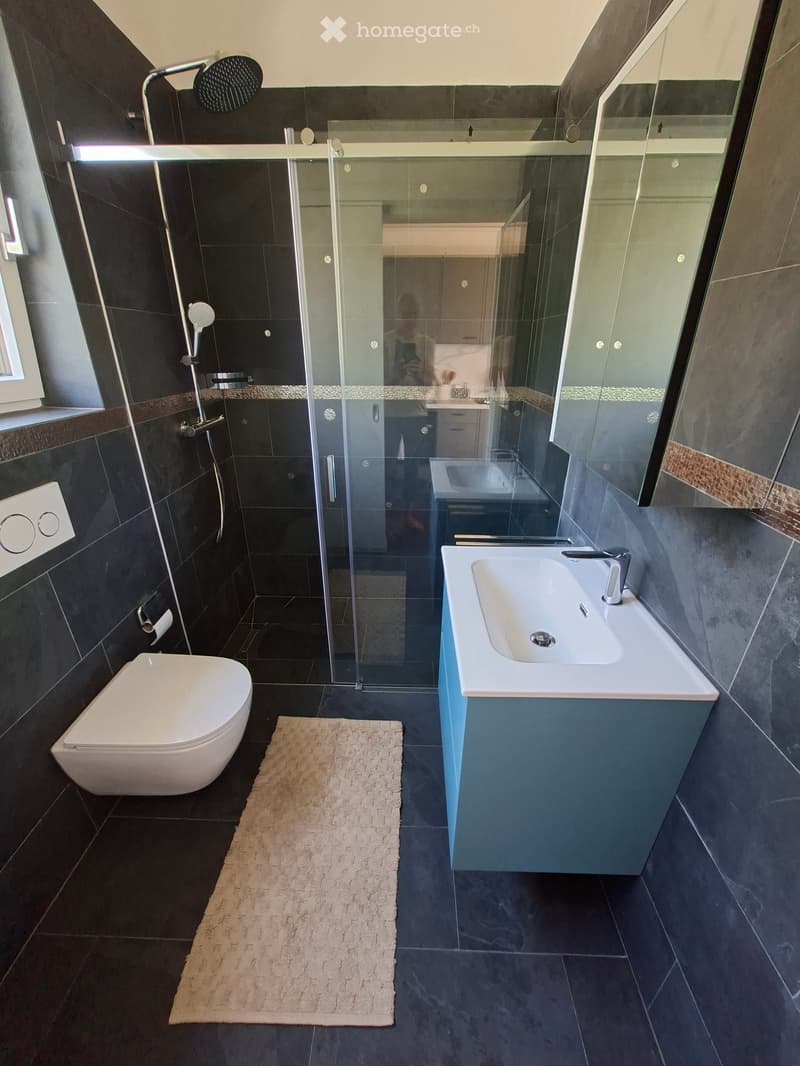 Modern bathroom with dark tiles, white toilet, sink with faucet, glass-enclosed shower, and a large mirror.