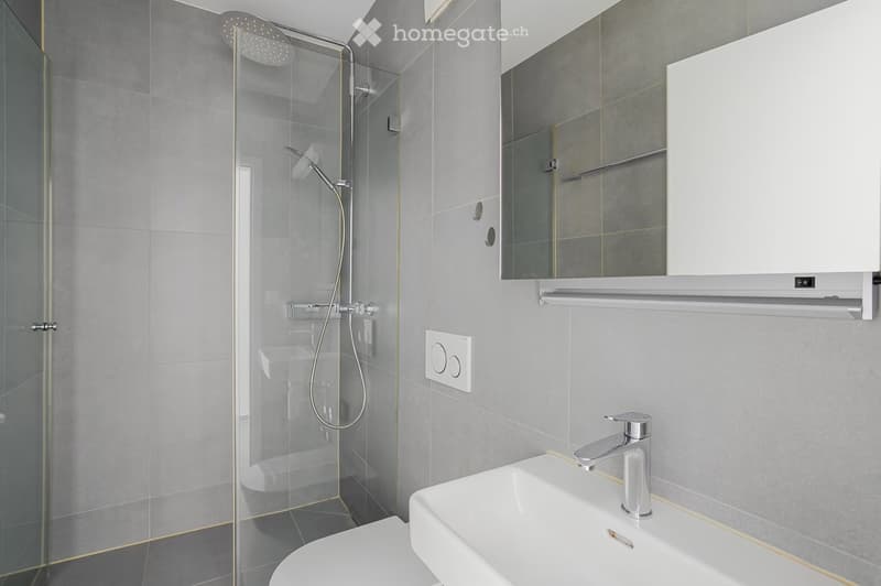Modern bathroom with grey tiles, a glass-enclosed shower, a white sink with a chrome faucet, and a toilet.