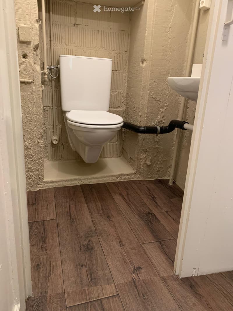 Bathroom with a toilet, sink, and wooden flooring. Exposed brick walls and visible plumbing.