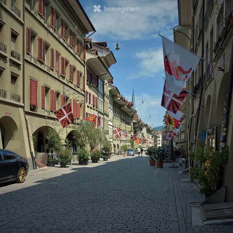 A picturesque European street lined with multi-story buildings, featuring red shutters, flags, potted plants, and a few parked cars.