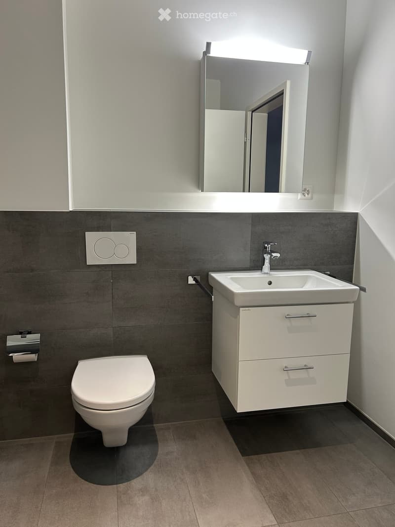 Modern bathroom with a white toilet, a white sink with a modern faucet, a large mirror above the sink, and a white cabinet with drawers.