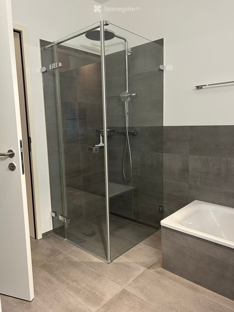 Modern bathroom with a glass-enclosed shower and a bathtub, featuring dark grey tiles and a sleek design.