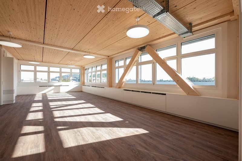 Bright, empty room with wooden flooring, large windows, and a modern, slanted wooden ceiling. Natural light streams in, casting shadows on the floor.