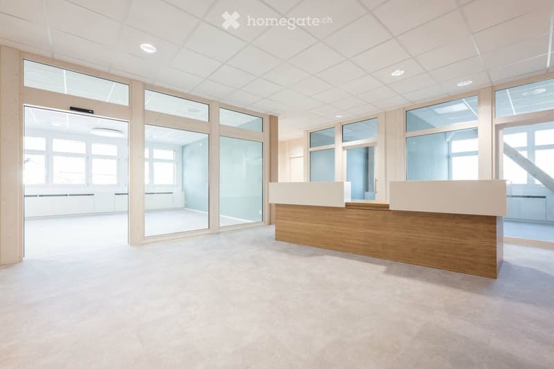 Empty reception area with a modern, minimalist design. Features a light wood reception desk, large glass windows, and a clean, open floor plan with white walls and a white ceiling.