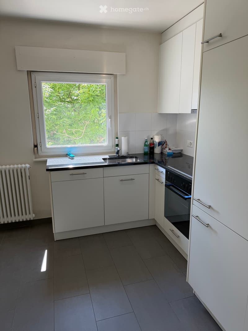 Modern kitchen with white cabinets, stainless steel sink, oven, and radiator. Countertop has a few items including a bottle and a paper towel roll.