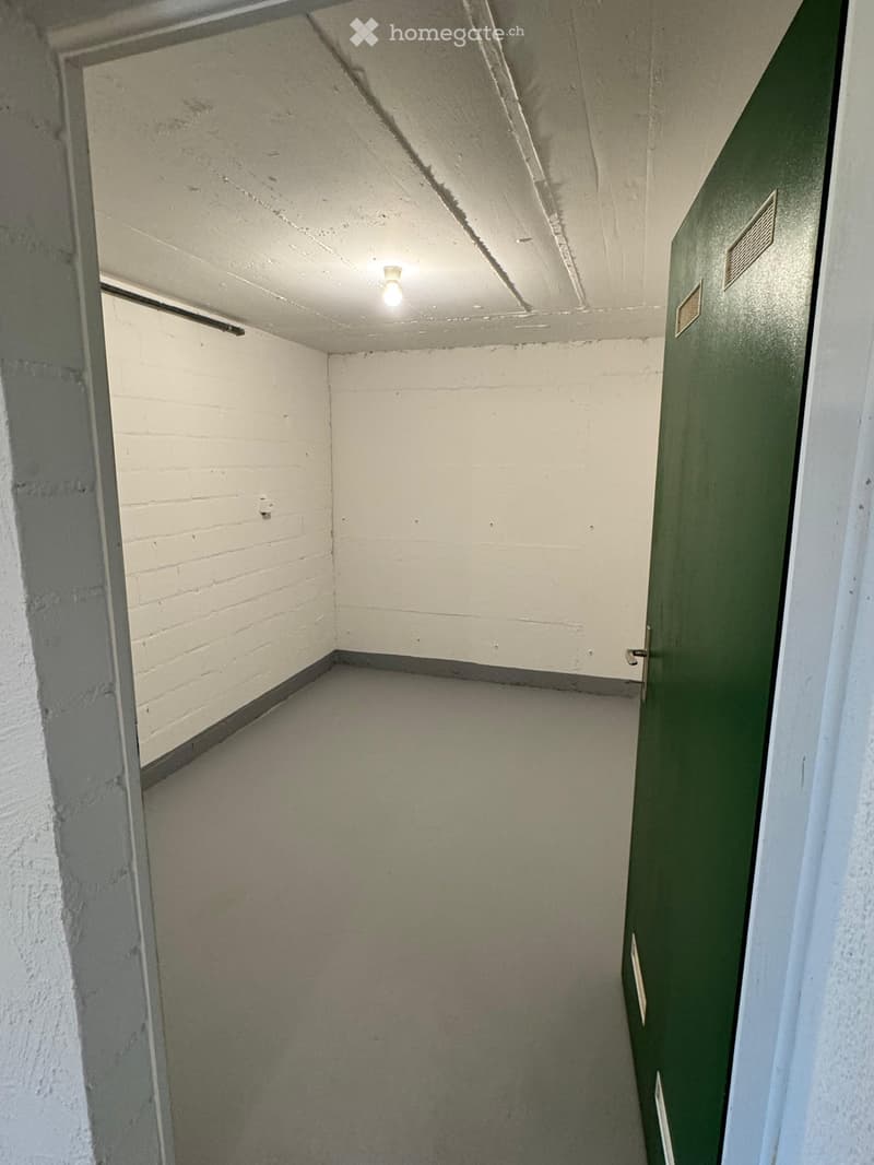 Empty narrow hallway with white walls, concrete ceiling, and a single light fixture. Green door on the right and exposed brick wall on the left.