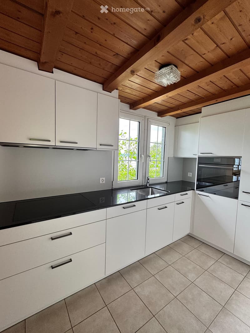 Modern kitchen with white cabinets, black countertops, stainless steel sink, and built-in oven. Features a wooden slanted ceiling and large windows.