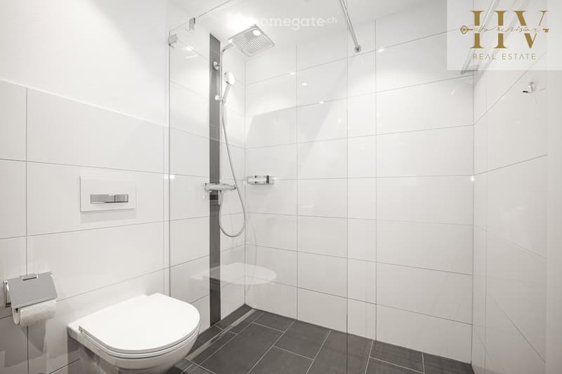 Modern bathroom with white tiles, a toilet, a glass-enclosed shower with a handheld showerhead, and a toilet paper holder.