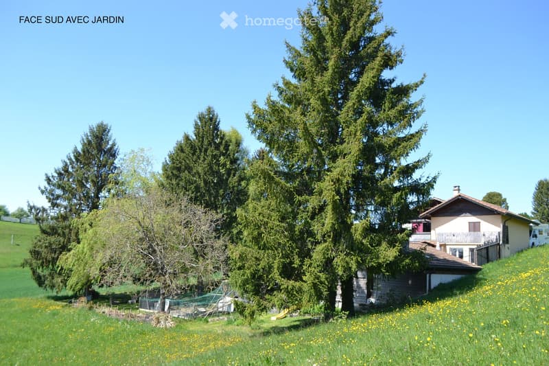 A two-story house with a tiled roof, surrounded by tall evergreen trees and a grassy lawn with yellow flowers. The house has a balcony and is situated on a raised ground floor with a clear view of the surrounding landscape.