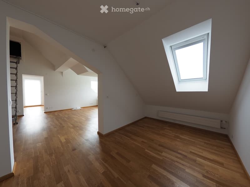 empty room, wooden floor, white walls, skylight, ladder