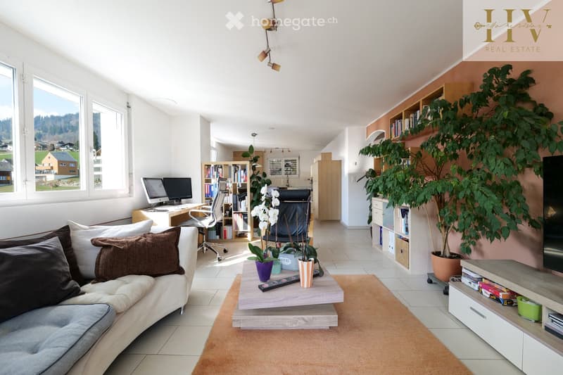 Bright, open living space with a grey sofa, coffee table, desk with computer, bookshelf, potted plants, and a TV stand.