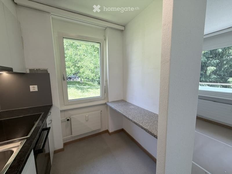 Empty kitchen with white walls, a window, a countertop, and built-in appliances.