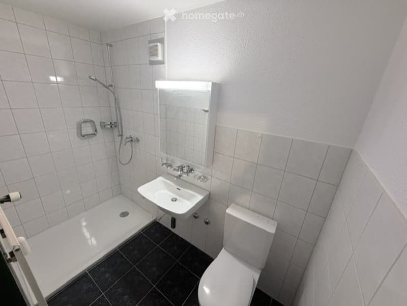 Modern bathroom with white tiles, a shower area, a sink with a mirror, and a toilet. The floor is dark tiled, and the walls are white.