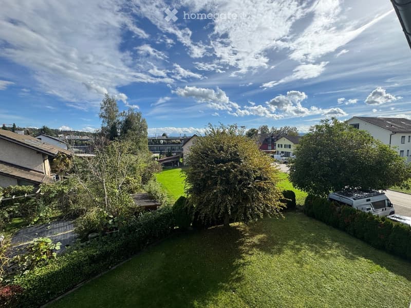 A well-maintained garden with green grass, trees, bushes, and a small wooden table. The background shows neighboring houses and a clear blue sky with scattered clouds.