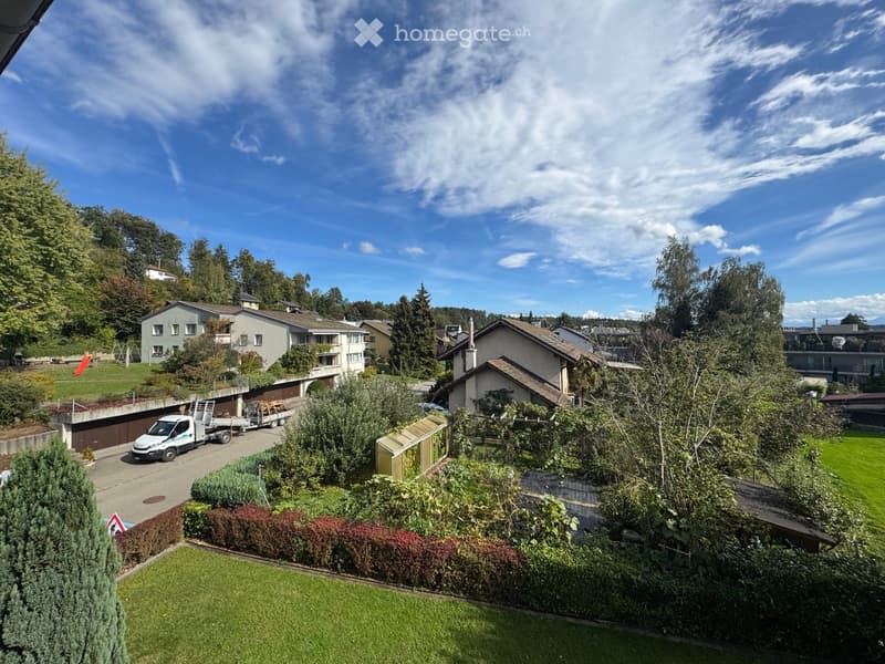 Aerial view of a suburban neighborhood with multiple houses, green lawns, trees, and a driveway with a parked van.