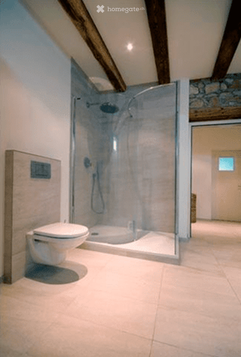 Premium apartment, central location, close to Rhein and city center (4)