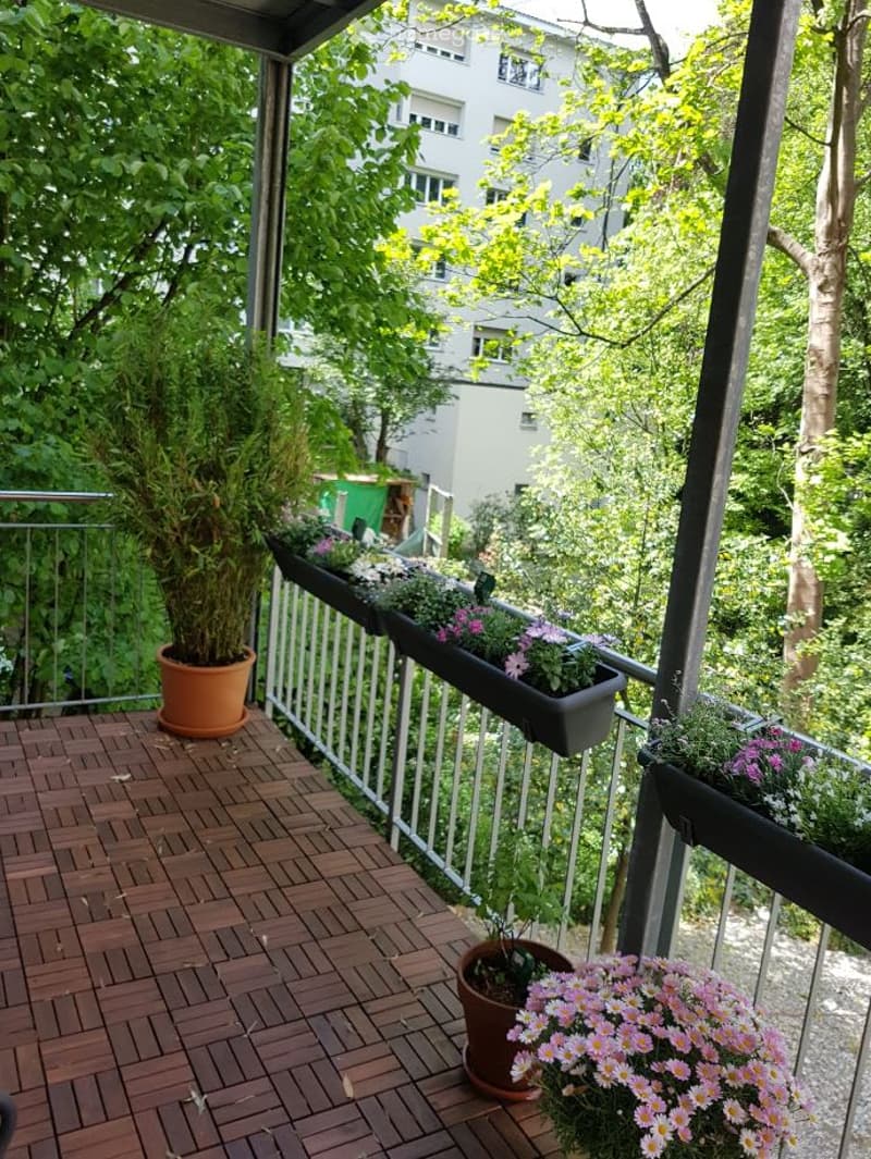 Premium apartment, central location, close to Rhein and city center (10)