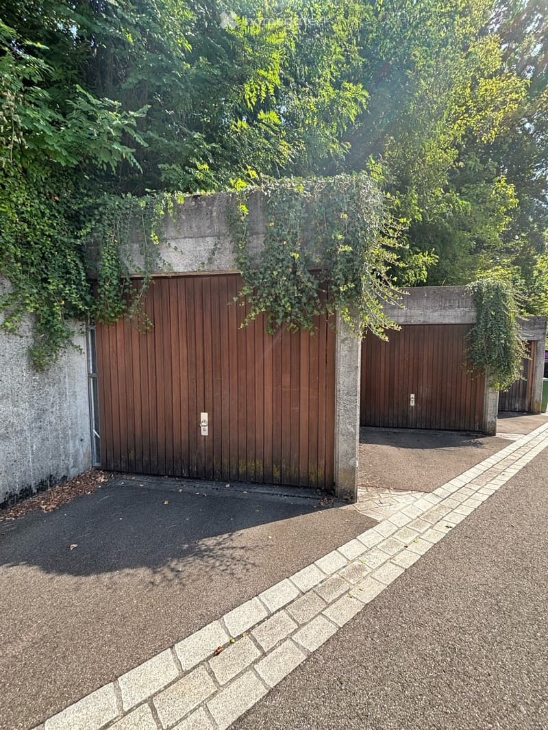 Two closed wooden garage doors with green vines, concrete walls, and a paved area