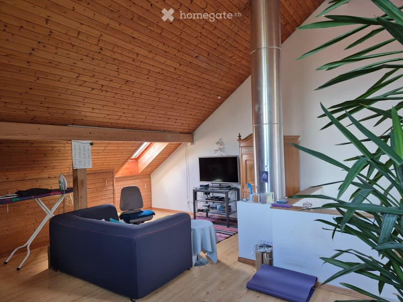 A cozy living room with wooden ceilings, a sofa, a chair, a small table, a television, and a large plant. The room features a skylight and a modern design.