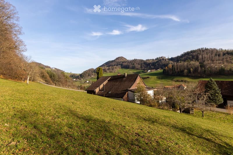 A peaceful rural landscape with a grassy hill, scattered houses, trees, and a distant forested mountain range under a clear blue sky.