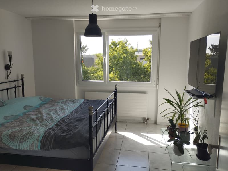 Bright bedroom with a metal-framed bed, colorful bedspread, tiled floor, large windows with a view of greenery, and a small table with potted plants and a television on a shelf.