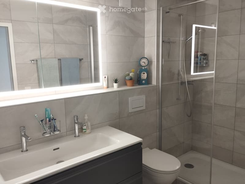 Modern bathroom with a large sink, mirror with LED lighting, shower, and decorative items on the counter.