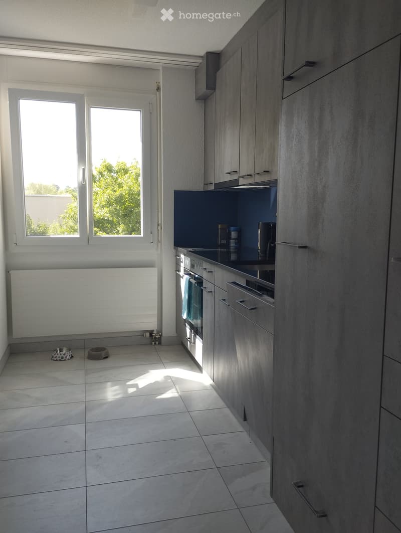 Modern kitchen with grey cabinets, stainless steel appliances, tiled floor, and large windows letting in natural light. Includes an oven, towel, and radiator.