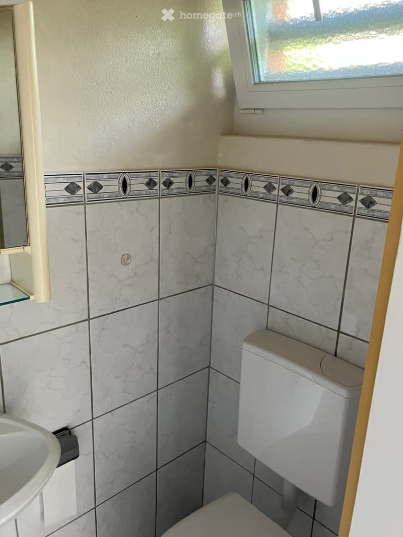 Bathroom with marble tiles, a toilet, a sink, and a mirror. The tiles feature a decorative border with diamond and oval patterns.
