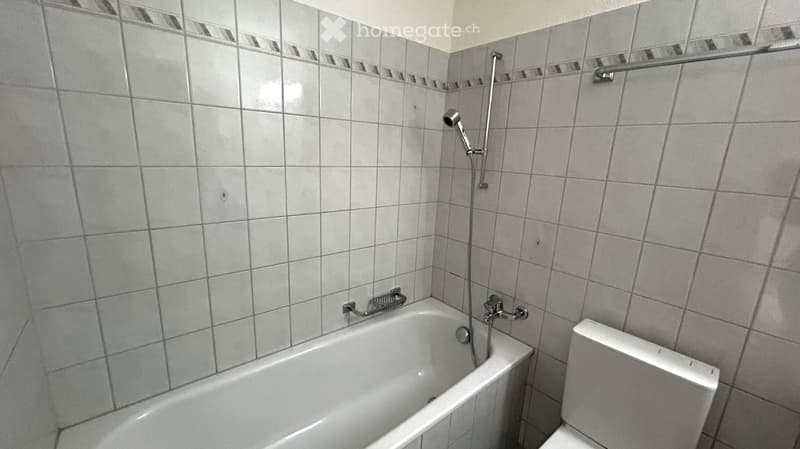 A small bathroom with a bathtub, toilet, and a showerhead attached to the wall. The walls are tiled with grey tiles and a decorative border.