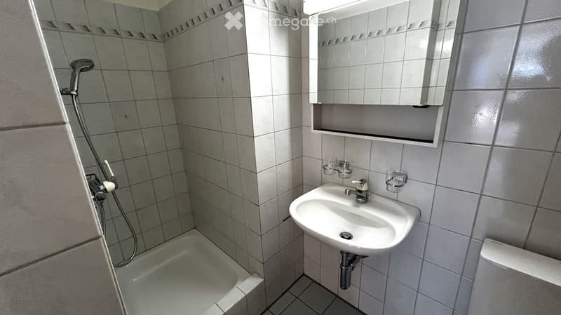 A small bathroom with a tiled shower area, a white sink with a mirror above it, and a toilet. The walls are tiled in light grey with a decorative border near the ceiling.
