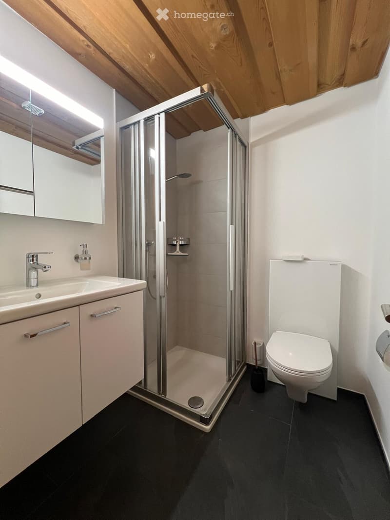 Modern bathroom with a sleek, contemporary design. Features include a white sink with a modern faucet, a large mirror, a glass-enclosed shower, and a white toilet. The space has dark tiled flooring and light-colored walls.
