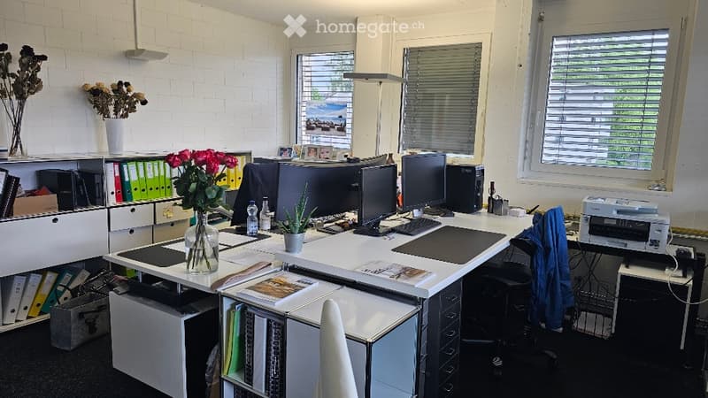 Furnished Room. Office space with a large desk, two computer monitors, keyboard, mouse, printer, and various office supplies. There are vases with flowers, a filing cabinet, and a chair.
