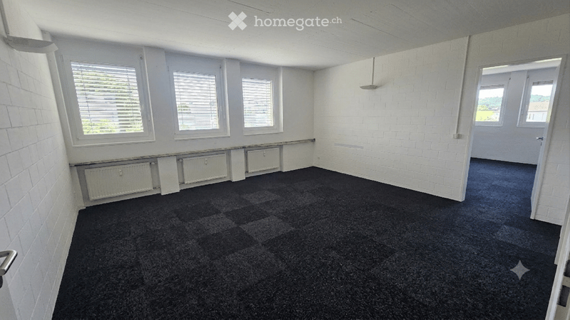 Empty room with white brick walls, dark carpet flooring, multiple windows with blinds, and radiators along one wall.