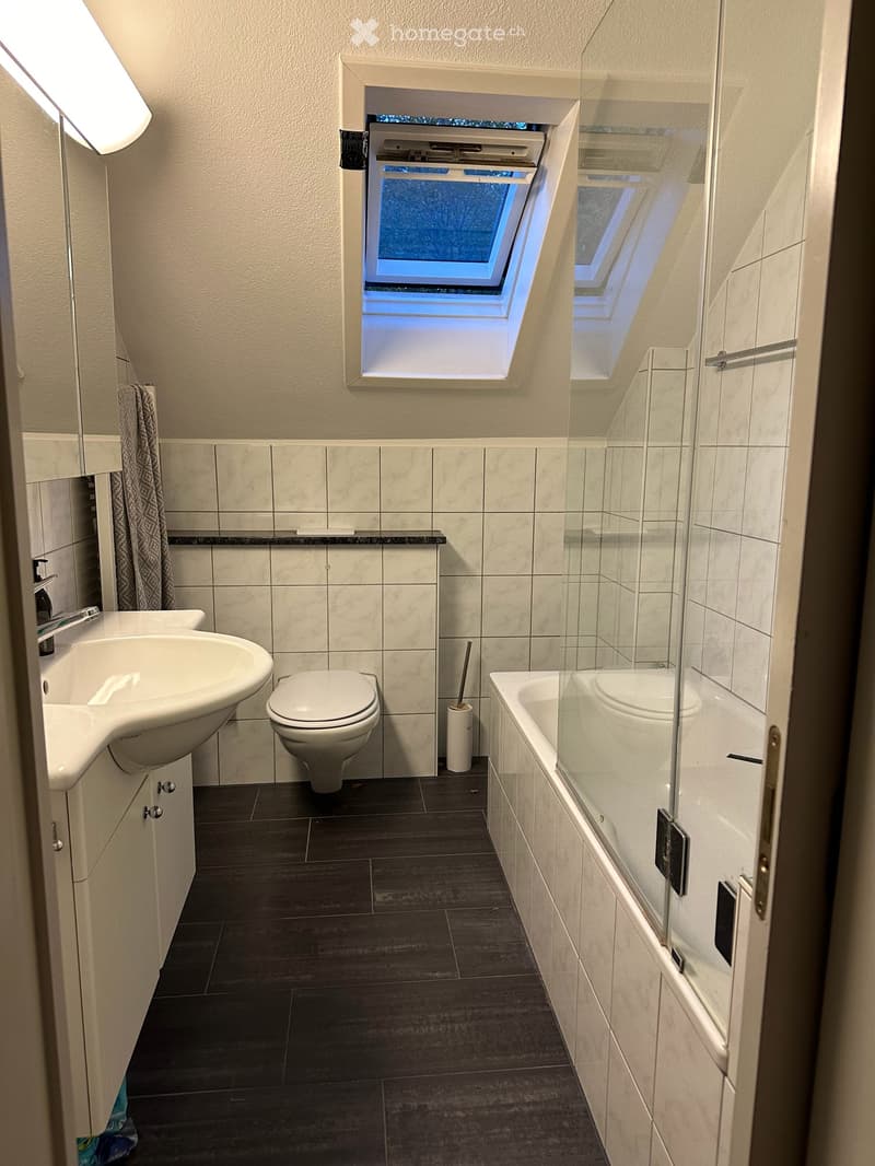 Charmante 3-Zimmer-Dachwohnung mit herrlicher Aussicht in Luzern (7)