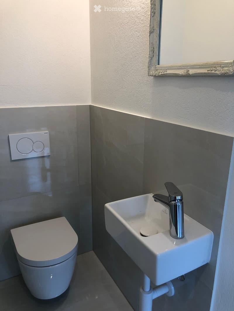 Modern bathroom with a white toilet, a white sink with a chrome faucet, and a decorative mirror above the sink. The walls are painted in a light grey color with a darker grey lower section.