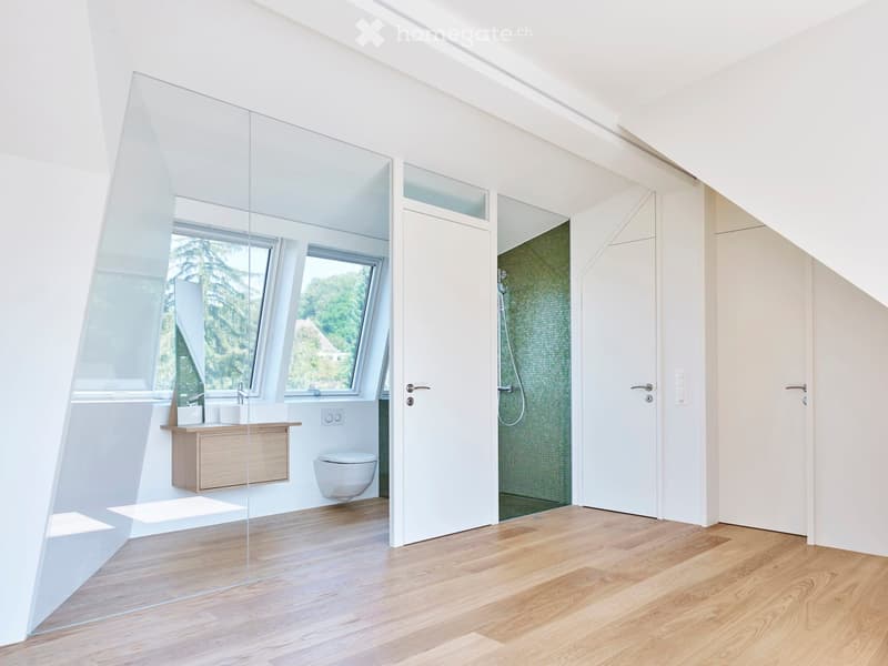 White ceiling, mirror wall, wooden floor, white fixtures, shower, toilet