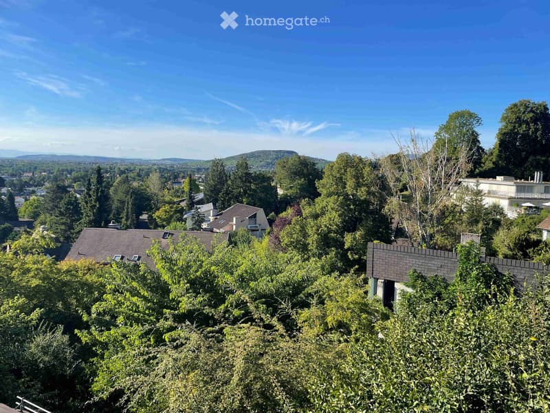 surrounded by trees, elevated view, multiple houses