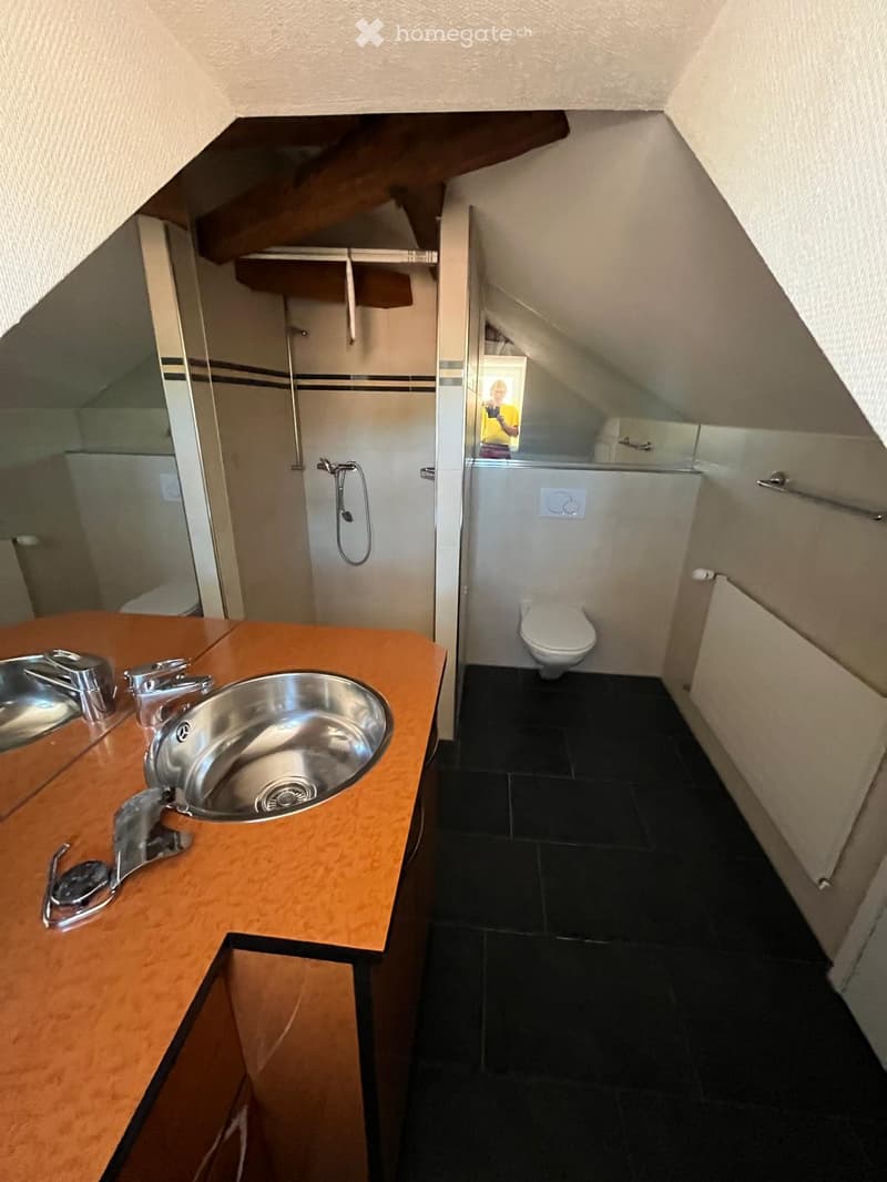 Modern bathroom with a wooden vanity, stainless steel sink, and a toilet. Features a glass shower enclosure and a large mirror above the sink.