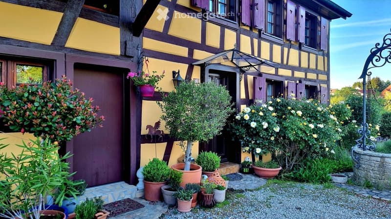 Traditional half-timbered house with yellow and purple exterior, surrounded by a well-maintained garden with potted plants, shrubs, and a small fountain.