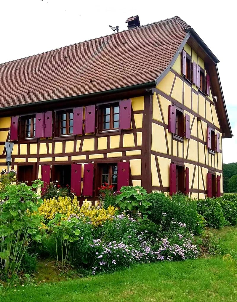 Traditional half-timbered house with yellow and brown exterior, red-tiled roof, multiple windows with purple shutters, and a well-maintained garden with colorful flowers and greenery.