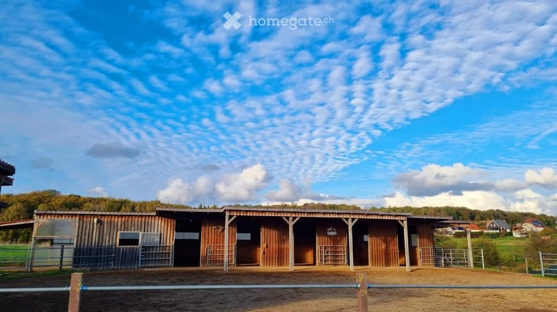 A wooden stable with multiple stalls and a fenced outdoor area, surrounded by trees and a clear blue sky.