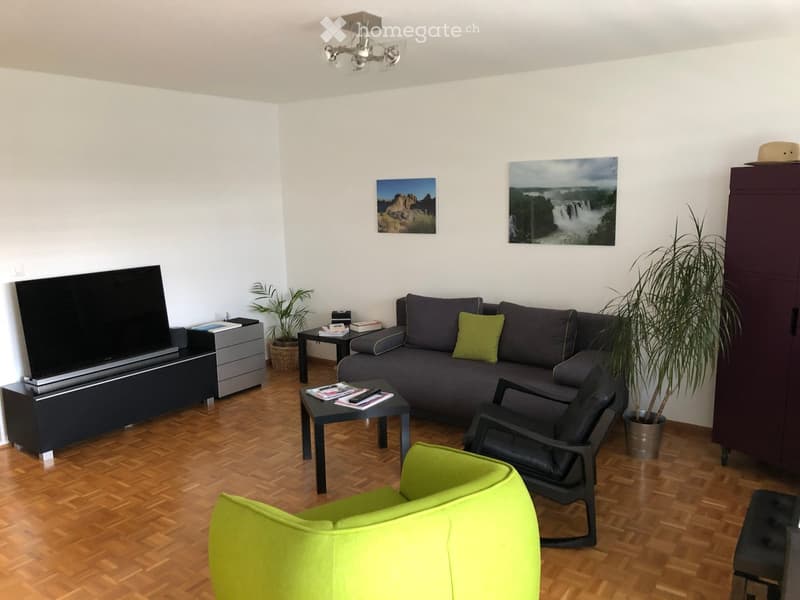 Modern living room with wooden flooring, grey sofa, green throw pillow, black coffee table, green armchair, black TV stand, side table, and potted plants.