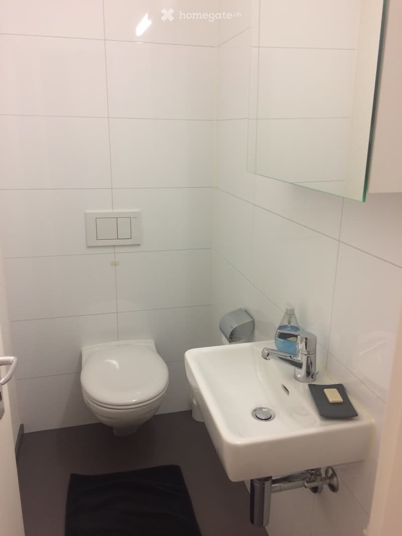 Modern bathroom with white tiled walls, a toilet, a sink with a chrome faucet, a mirror, and a soap dispenser. The floor is dark grey with a black bath mat.
