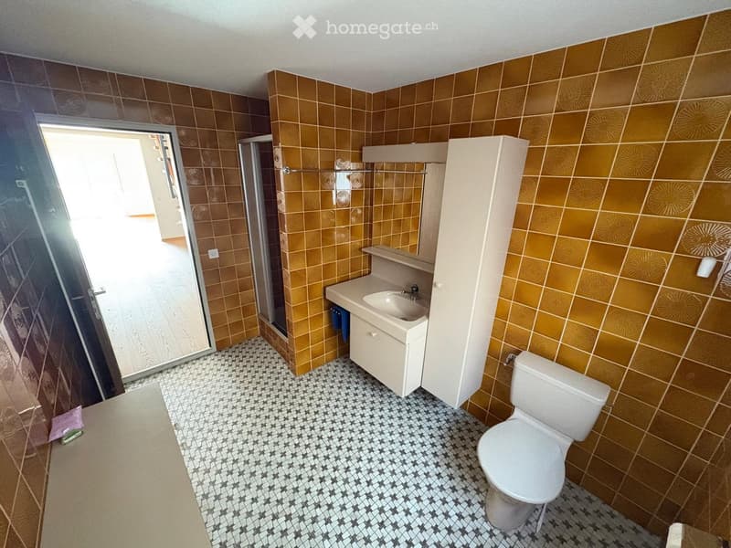 Bathroom with brown tiled walls, white toilet, sink with cabinet, and a glass shower door leading to another room.
