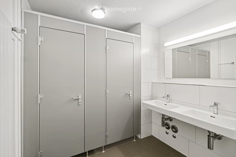 Two sink counters with faucets, two cubicles, lighting, a mirror and white tiles