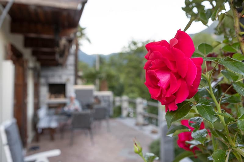 porch with wooden stairs, tables and chairs, fireplace in the background, flowers