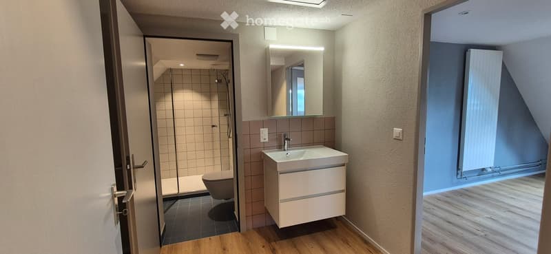 Modern bathroom with a white sink, mirror, toilet, and glass-enclosed shower. Wooden flooring and neutral-colored walls.